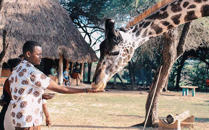 African Village, Dubai safari park