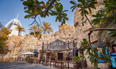 Wild Wadi Waterpark Dubai Entrance