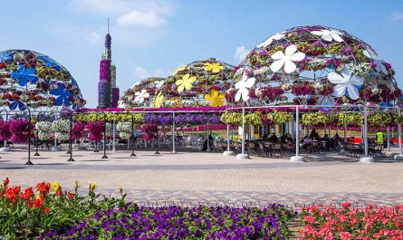 Dubai Miracle Garden