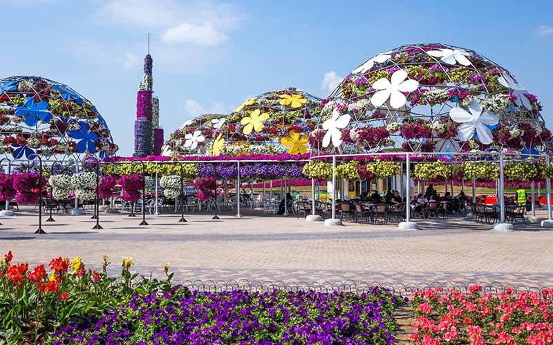 Dubai Miracle Garden