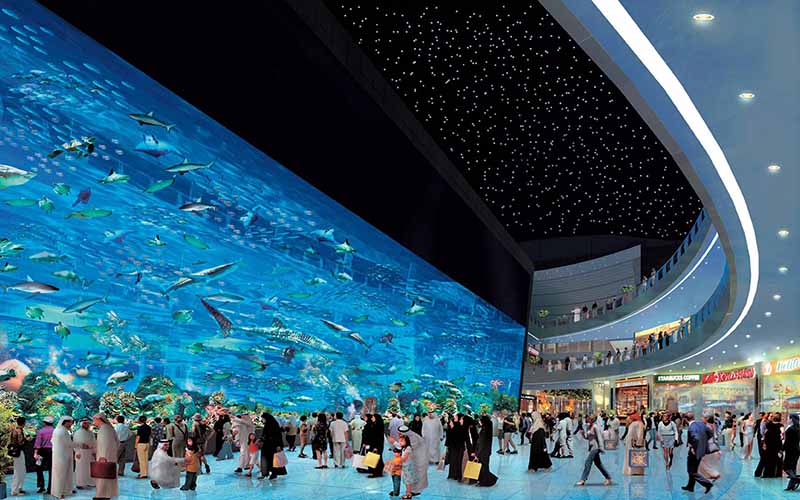 Dubai Aquarium and Underwater Zoo dubai 