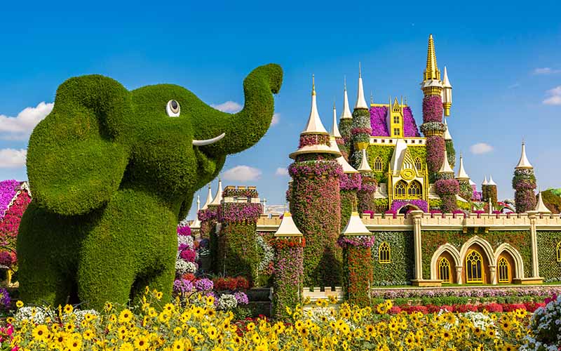 visit Dubai Miracle Garden