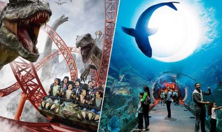 Visitors enjoying rides at IMG Worlds of Adventure and exploring marine life at Dubai Aquarium