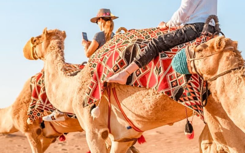 Dubai Desert Conservation Reserve